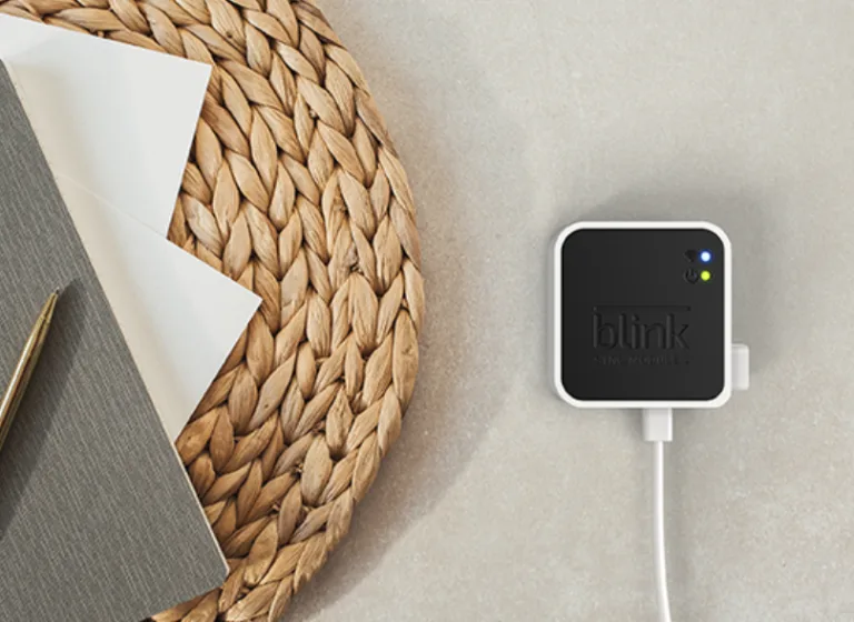 Read more about the article Blink Sync Module 2 Review: Store Locally, Save Monthly!